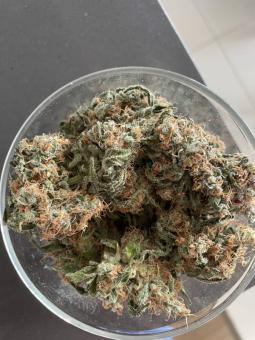 Super Lemon Haze Auto - картинка 2