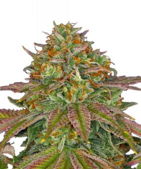 Wedding Cake - картинка 1