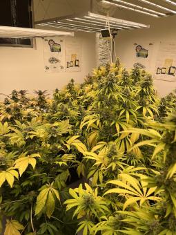 The Church - картинка 4