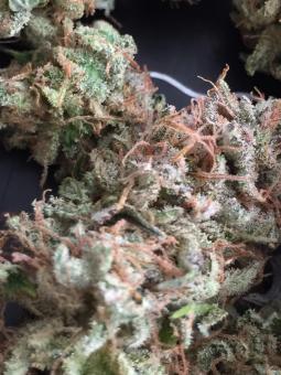 Blue Pyramid - картинка 7