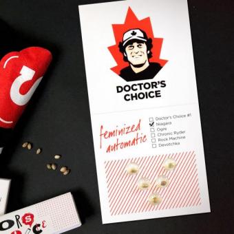 Niagara Auto - картинка 9