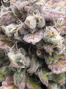 Ice Cream Cake - картинка 2