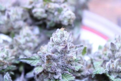 Rainbow Road - картинка 7