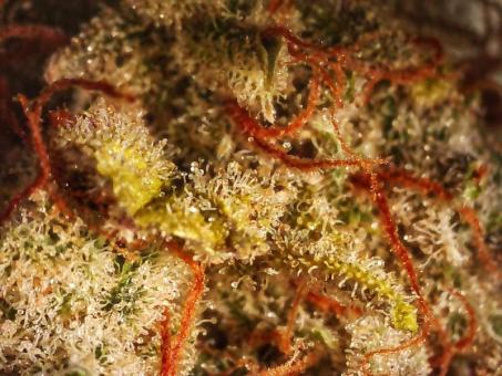 Blue Auto Mazar - картинка 7