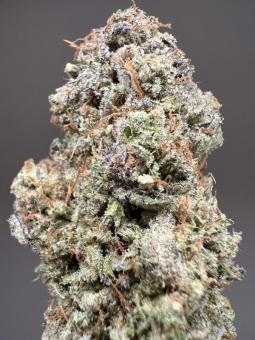 Persian Pie - картинка 4