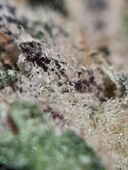 Lava Freeze - картинка 6