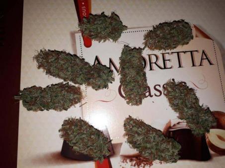 Buddha Syrup Auto - картинка 8