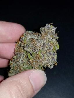 Cream Cookies Auto - картинка 7