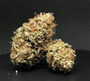 Gelato 41 x Gelato 41 Auto - картинка 4