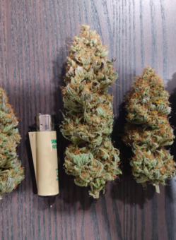 Super Critical - картинка 2