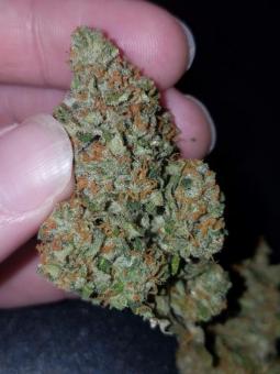 Pineapple Express Auto - картинка 4