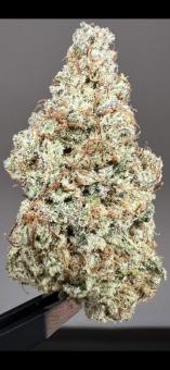 HighCloudZ - картинка 6