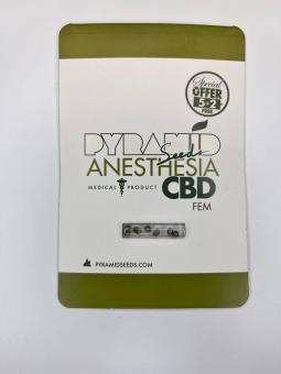 Anesthesia CBD - картинка 1