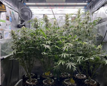 Patagonia - картинка 1