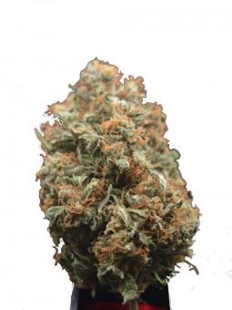 CBD Auto 1:1 (CBD Crack) - картинка 1