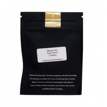 Mango OG Auto - картинка 2