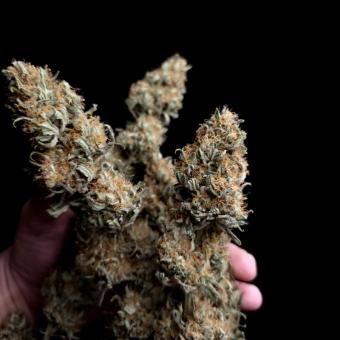 Sweet Zenzation/Sweet skittlez - картинка 5