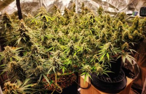 Blue Auto Mazar - картинка 4