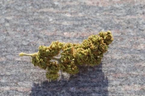 Atomical Haze - картинка 8