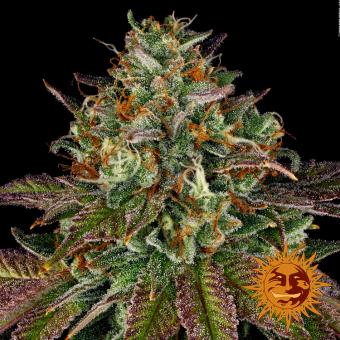 Wedding Cake - картинка 4