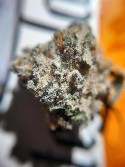 Lava Freeze - картинка 7