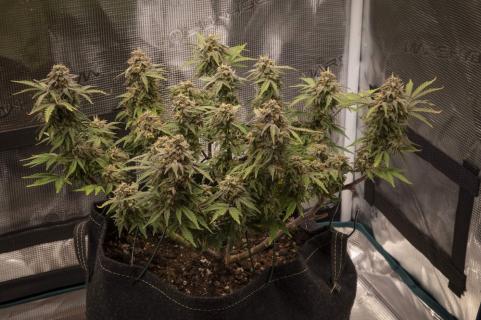 Patagonia Auto - картинка 4