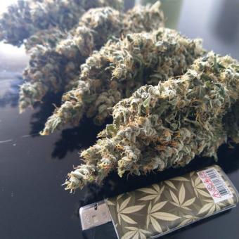 Auto Lemon Kix - картинка 2