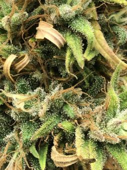 Neville's Haze - картинка 5