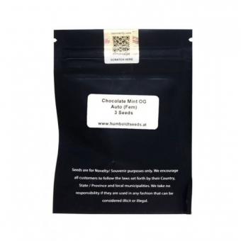 Chocolate Mint OG Auto - картинка 2