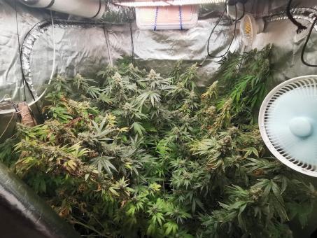 Anubis - картинка 6