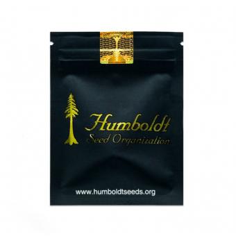 White Runtz Fast Flowering - картинка 1