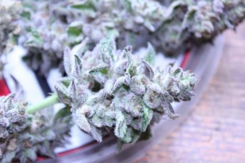 Rainbow Road - картинка 8