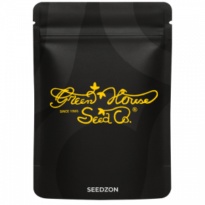 Blue Haze x Gelato 41 Auto