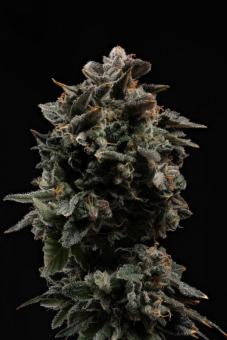 Strawberry Cookies - картинка 7