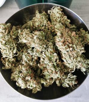 Auto Blue Pyramid - картинка 3